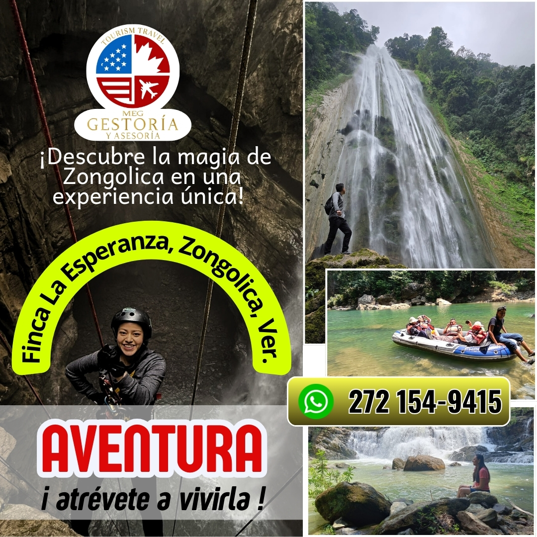 FORMATO 1 (7)